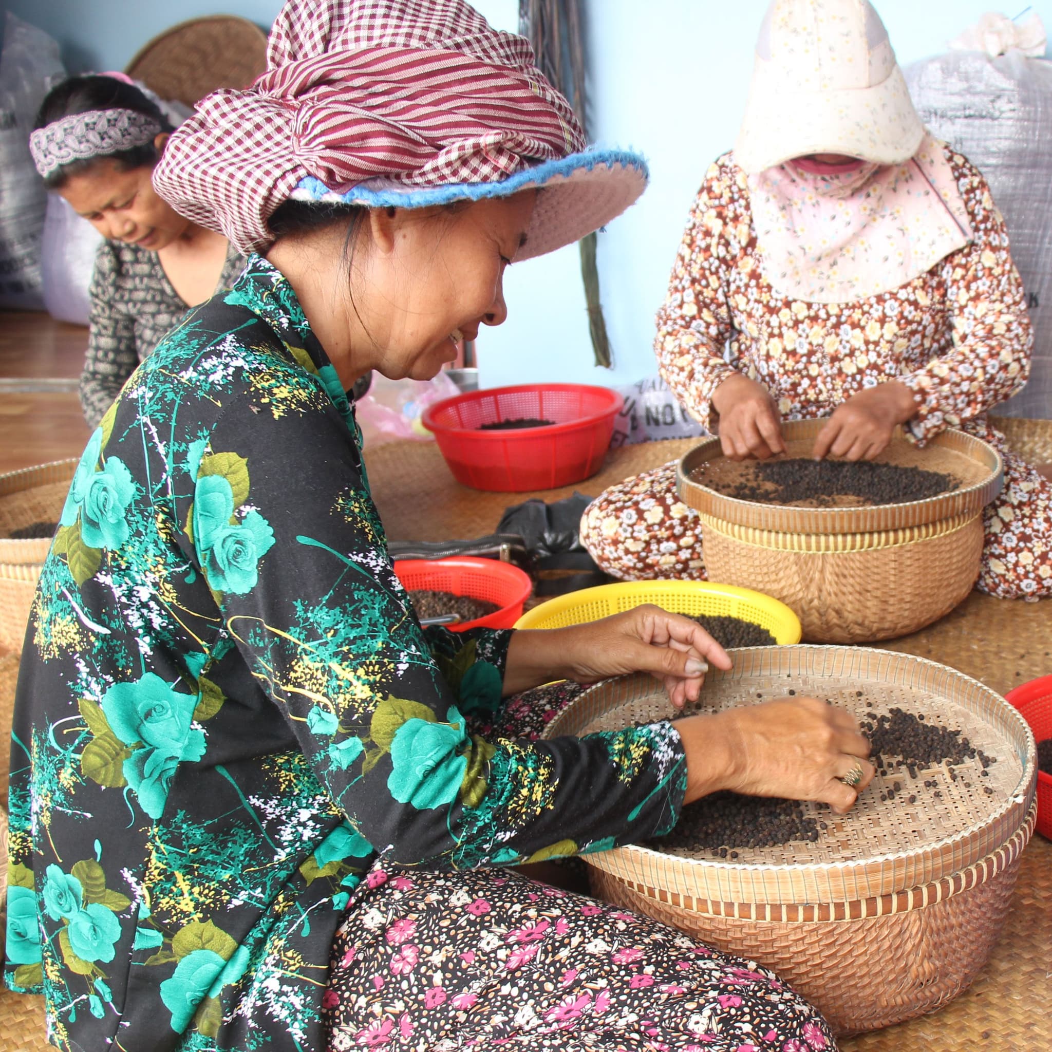 Pepper production